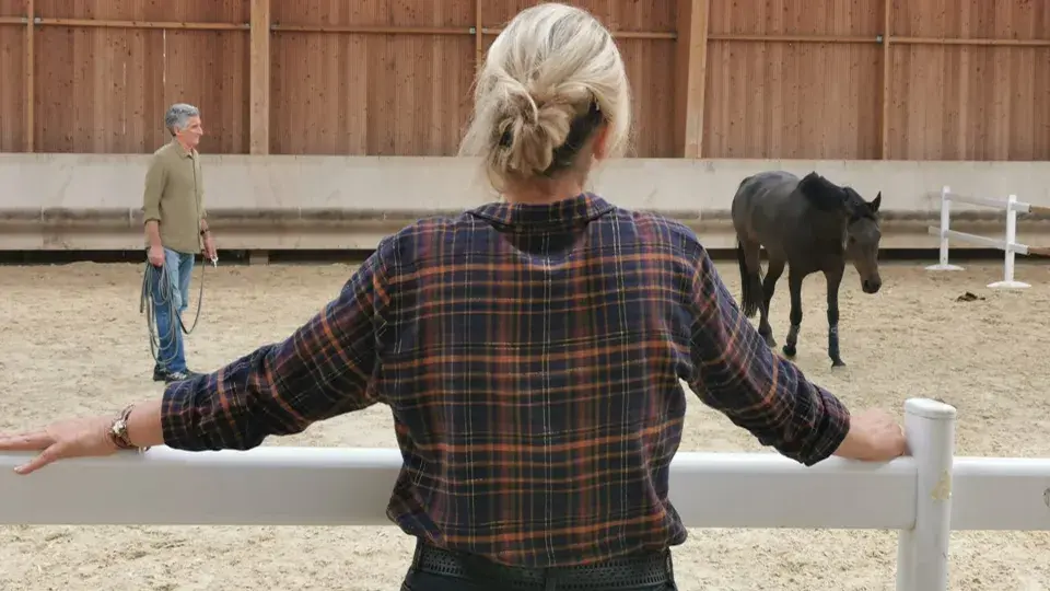 Cheval et neurodiversité